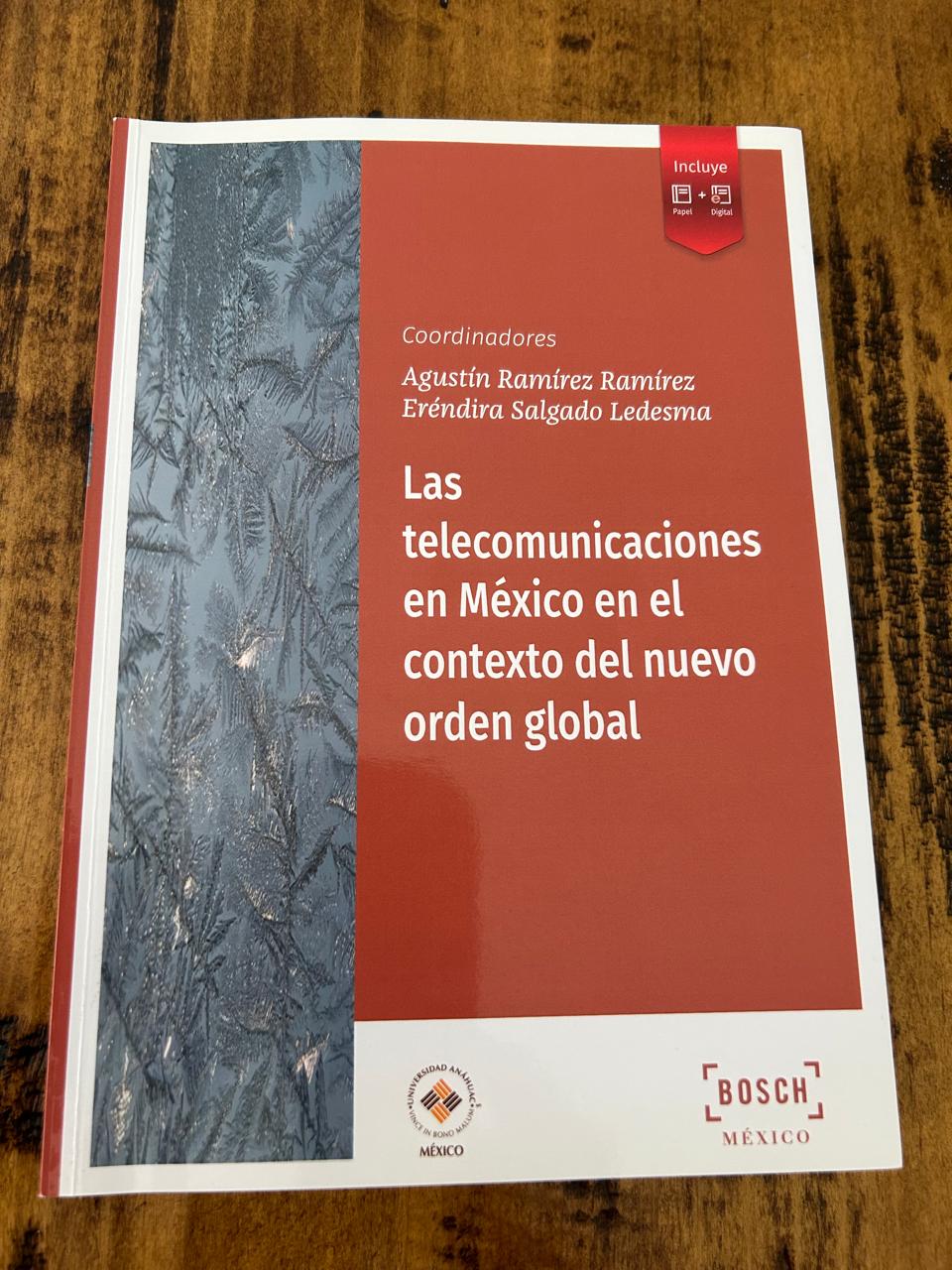 Las telecomunicaciones en México en el contexto del nuevo orden global
